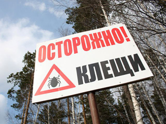 http://mountain.crimea.ua/category/sposoby-vyzhivaniya/opasnost-v-gorax/ 
