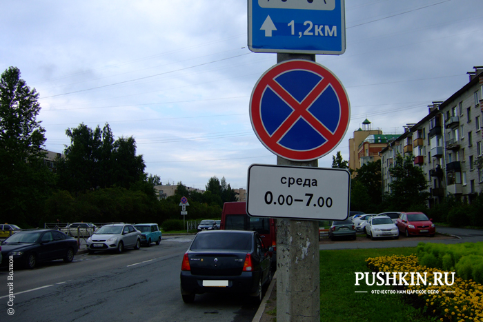 Парковка под запрещающими знаками в Пушкине 